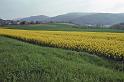 WT 2500 318-28 France 92